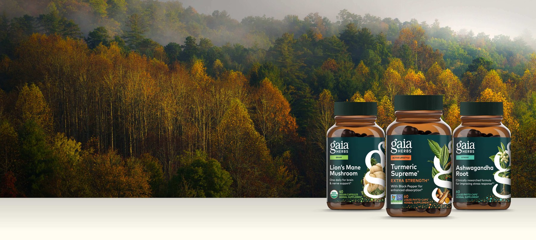How household turmeric and ginseng became traced capsules